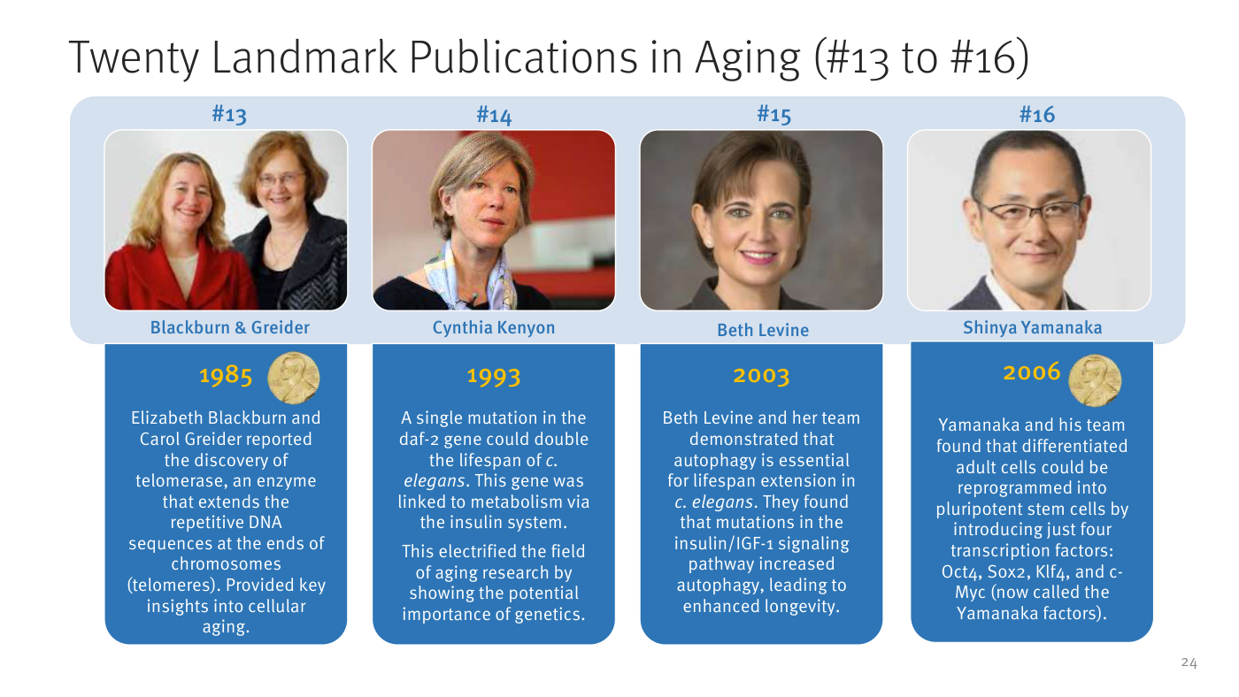 Diapositiva «Twenty Landmark Publications in Aging (#13 to #16)» con cuatro fichas: #13 Blackburn y Greider (1985), descubrimiento de la telomerasa; #14 Cynthia Kenyon (1993), una mutación en el gen daf-2 duplica la vida de C. elegans, mostrando el peso de la genética; #15 Beth Levine (2003), la autofagia es esencial para la extensión de la vida en C. elegans; #16 Shinya Yamanaka (2006), las células adultas diferenciadas pueden reprogramarse a células madre pluripotentes con cuatro factores de transcripción.