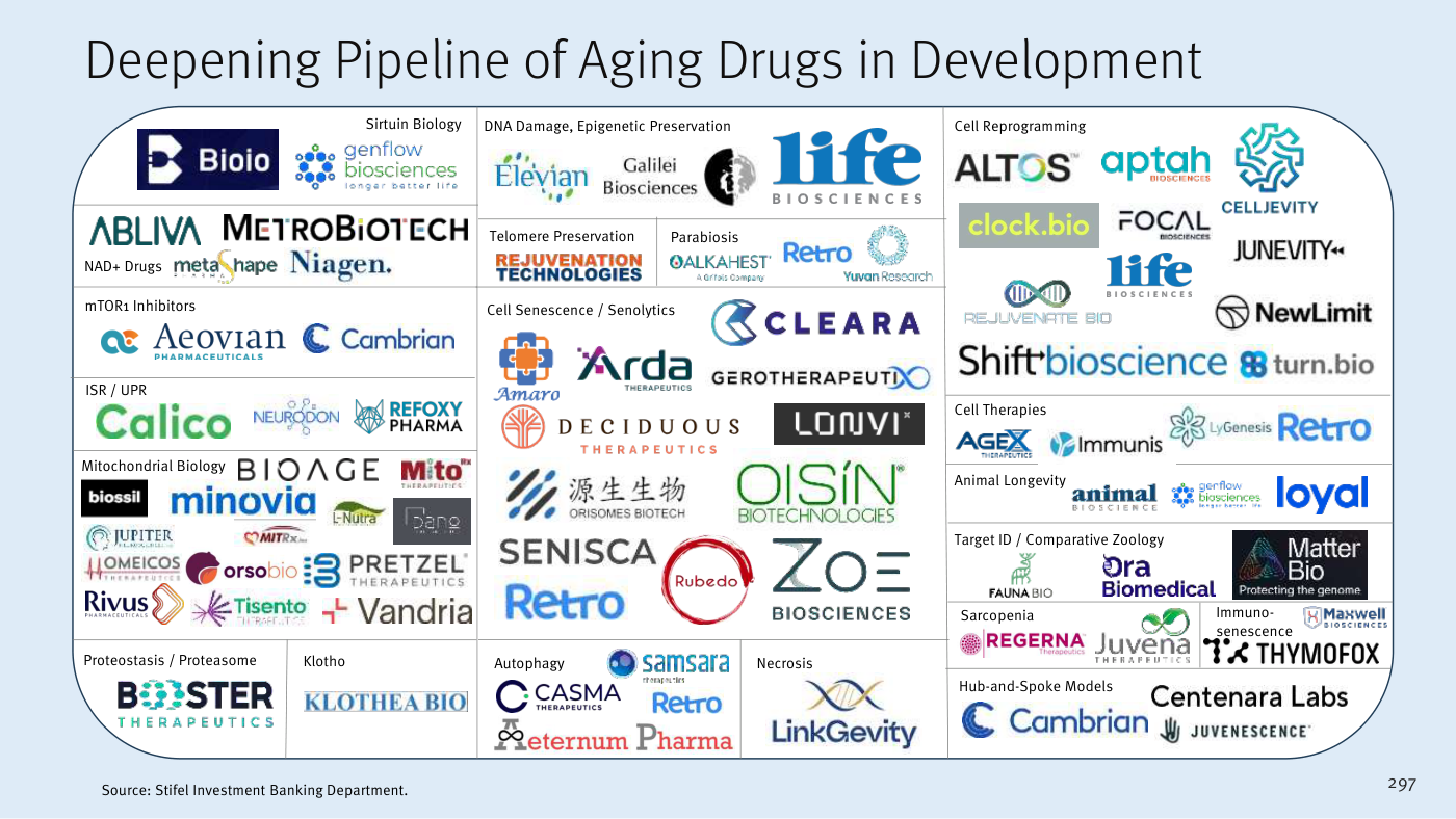 Slide "Deepening Pipeline of Aging Drugs in Development" de Stifel: una rejilla de logotipos de decenas de compañías del campo del aging/longevity, agrupadas por categoría (entre ellas reprogramación celular, senolíticos, NAD+/epigenética, autofagia, uncouplers mitocondriales, healthspan, hubs y editores de genes), con nombres reconocibles como Calico, Altos Labs, Life Biosciences, Retro Biosciences, NewLimit, Shift Bioscience, Cambrian o Loyal entre muchos otros.
