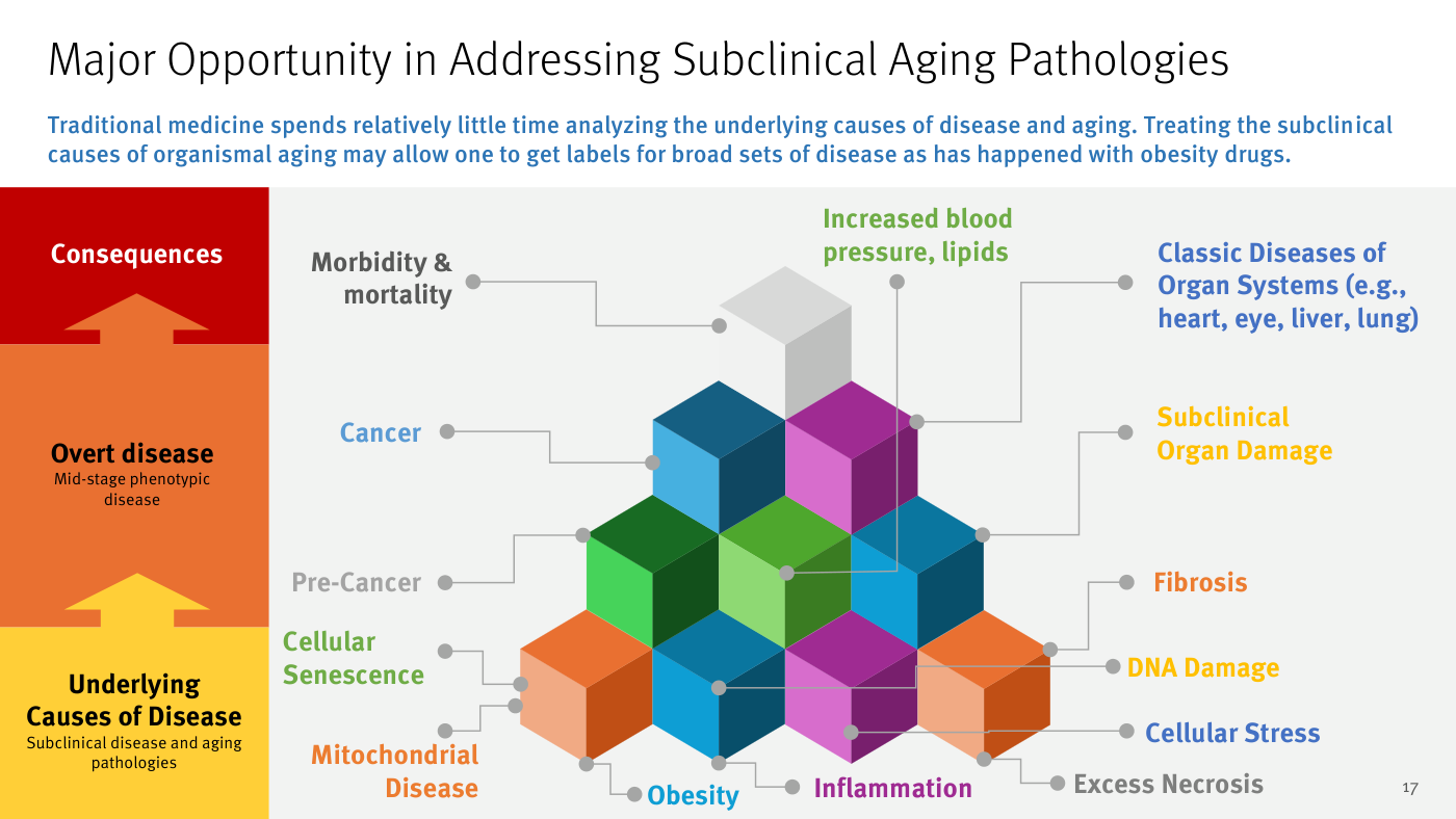 Slide "Major Opportunity in Addressing Subclinical Aging Pathologies" de Stifel: una pirámide de cubos de colores con un eje izquierdo de tres niveles —en la base, "Underlying Causes of Disease" (enfermedad subclínica y patologías del envejecimiento); en el centro, "Overt disease" (enfermedad fenotípica de fase media); arriba, "Consequences". Los cubos están etiquetados de abajo arriba con disfunción mitocondrial, obesidad, inflamación, estrés celular, daño en el ADN, exceso de necrosis, senescencia celular, pre-cáncer, cáncer, daño orgánico subclínico, fibrosis, aumento de presión arterial y lípidos, enfermedades clásicas de órganos (corazón, ojo, hígado, pulmón) y, en la cúspide, morbilidad y mortalidad.
