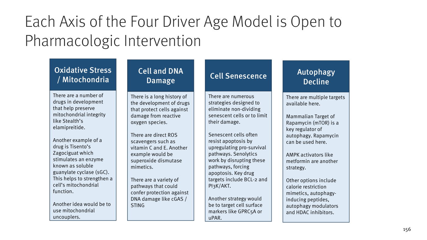 Slide "Each Axis of the Four Driver Age Model is Open to Pharmacologic Intervention" de Stifel: cuatro columnas/recuadros con cabecera de color —Oxidative Stress / Mitochondria, Cell and DNA Damage, Cell Senescence y Autophagy Decline— cada uno con texto que describe el eje y ejemplos de dianas y clases de fármacos candidatos (entre ellos rapamicina y miméticos de restricción calórica para la autofagia, senolíticos para la senescencia, e inhibidores de cGAS/STING para el daño en el ADN).